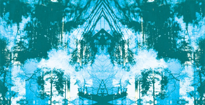 Tusks - Dissolve