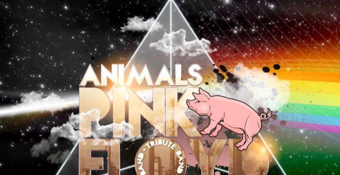Nightguide intervista gli Animals Pink Floyd