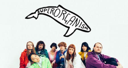 Superorganism