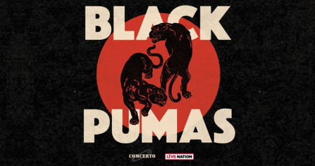 The Black Pumas