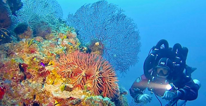 D Sheikh Coast Diving Center (Domina Coral Bay), all'EUDI di Bologna tante novità