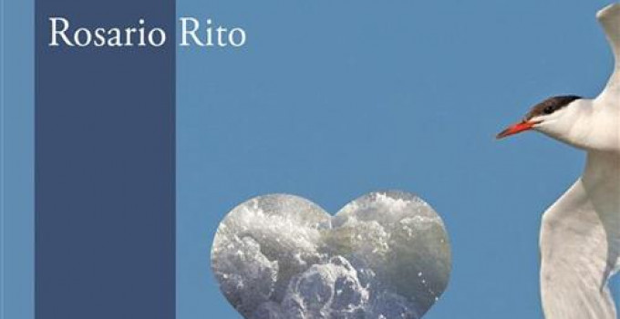 Intervista a Rosario Rito, autore della raccolta poetica “L’isola misteriosa”.