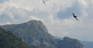Le Vie del Rosmarino: nasce la DMO dei Nebrodi… per un turismo condiviso e autentico