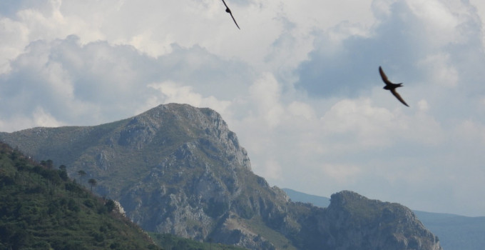 Le Vie del Rosmarino: nasce la DMO dei Nebrodi… per un turismo condiviso e autentico