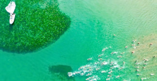 OCEANMAN Cattolica Emilia-Romagna ’26: centinaia di nuotatori da 50 nazioni, pure dal Ghana