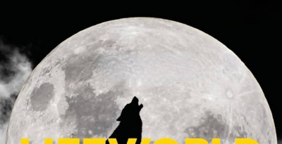 24/7 Lifeworld Into The Woods Festival - Rovetta (BG)